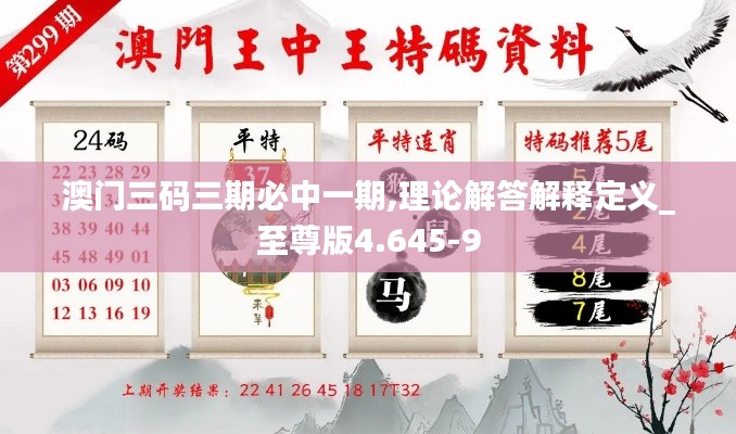 澳门三码三期必中一期,理论解答解释定义_至尊版4.645-9