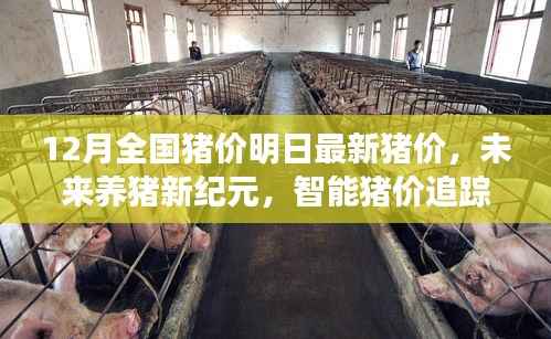 智能猪价追踪系统引领行业风向标,最新猪价及未来养猪新纪元展望