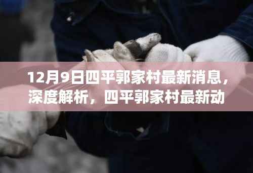 12月9日四平郭家村最新动态深度解析,蜕变与启示