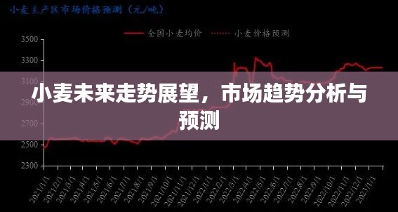 小麦未来走势展望,市场趋势分析与预测
