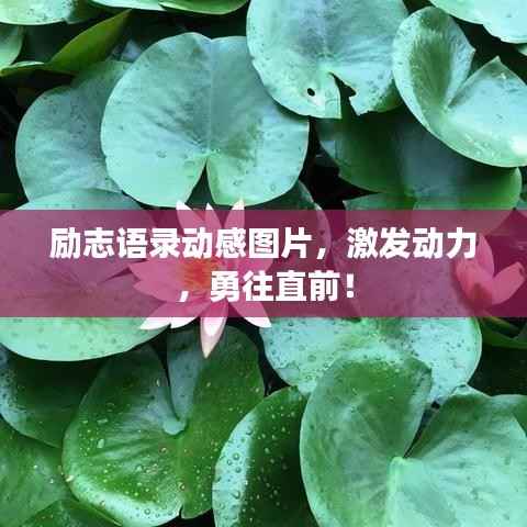 励志语录动感图片,激发动力,勇往直前!