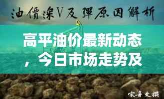 高平油价最新动态,今日市场走势及影响因素深度解析